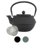 Preview: teeblume cast iron teapot Arare, 1,2 litre, with strainer, different colours